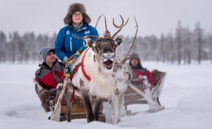 Christmas House Safaris järjestää myös porosafareita Piiru Resort porotilalla Rovaniemellä