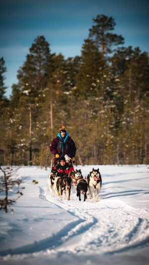 Christmas House Safariksen Piiru Resortin huskytila Rovaniemellä